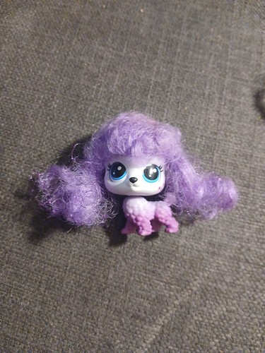 Dog collector hair - dog,