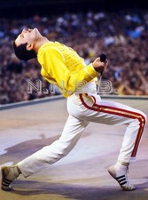 Freddie Mercury "Queen" 10 x 8