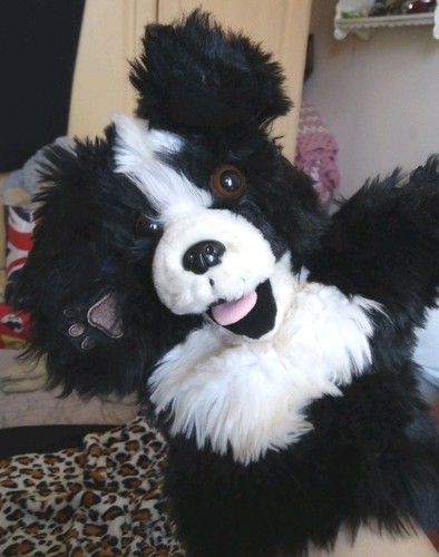 The puppet company black - the, &