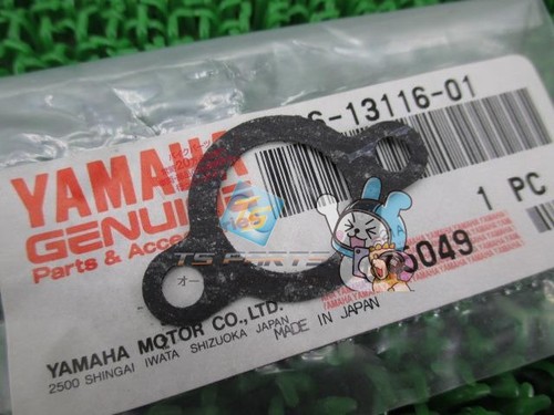 Oil pump gasket in - r1-z,