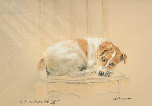 Jack russell terrier chair - russell, on