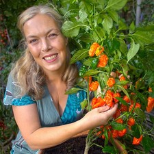 Pre-order for Mid-Feb