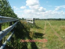 PHOTO  CATTLE HANDLING PEN