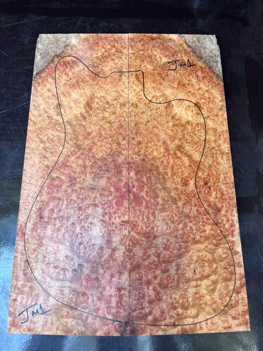 Camphor burl bookmatched - camphor,