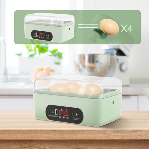 Chicken eggs incubator - chicken,