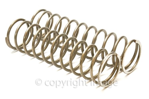 Plunger springs bsa - springs, (bottom)