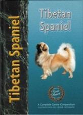 Tibetan Spaniel-Juliette