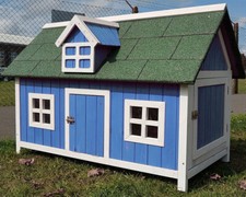 Chicken coop run - run, hen