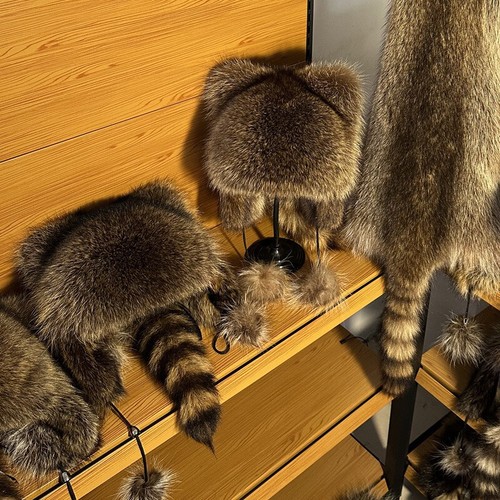 1pcs adult real raccoon - adult,