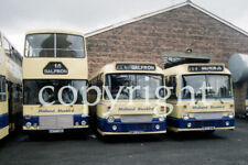 Bus Photo - Midland Bluebird depot line-up A477GMS GMS289S WFS144W
