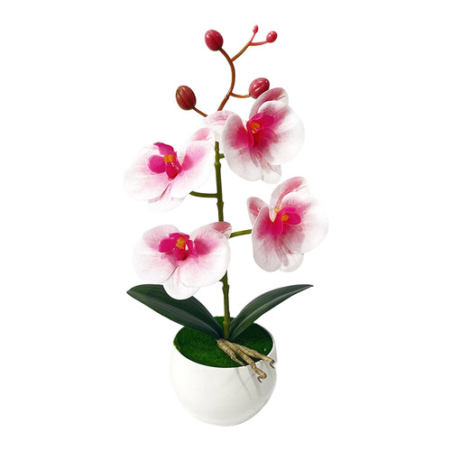 Artificial phalaenopsis orchid - artificial,