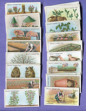 1923 W.D. & H.O. WILLS