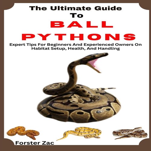 The ultimate guide ball - the,
