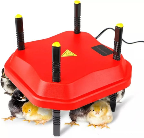 Chick brooder poultry - 12",