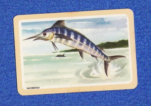 Vintage woolworths fish swap - woolworths,