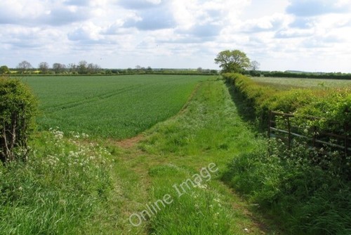 Photo 6x4 fields east - photo,