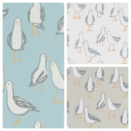 Clarke and - clarke, laridae