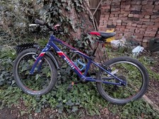 Kids 20” Wiggins Chartres