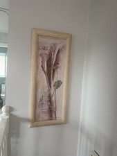 Calla Lily Framed Print.
