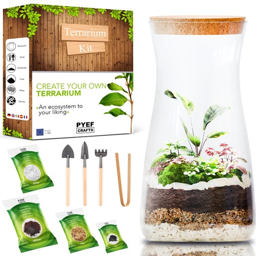 Diy terrarium kit - diy,