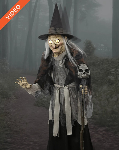 6ft lunging haggard witch - 6ft,