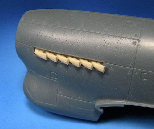 Barracuda studios bcr48398 - barracuda,