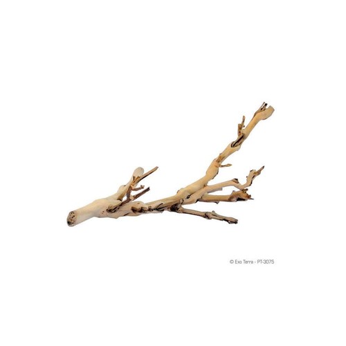 Exo terra forest branch - terra,