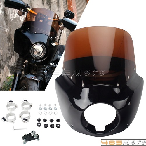 Front fairing windshield - front,