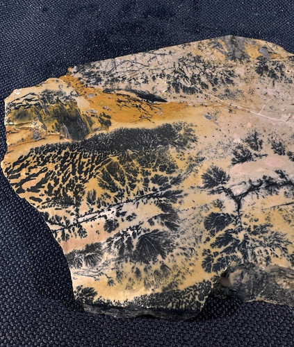 Yellow tree agate slab lb - agate,