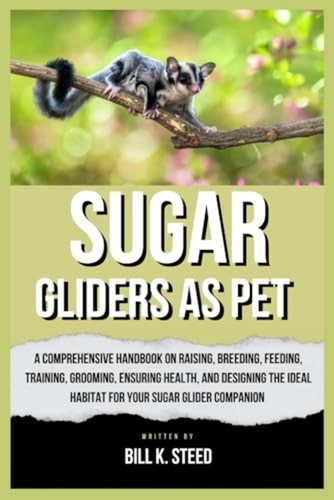 Sugar gliders pet a - gliders,