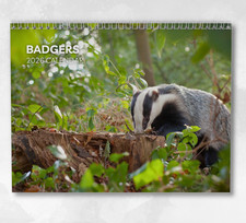 Badger Calendar 2026: Monthly