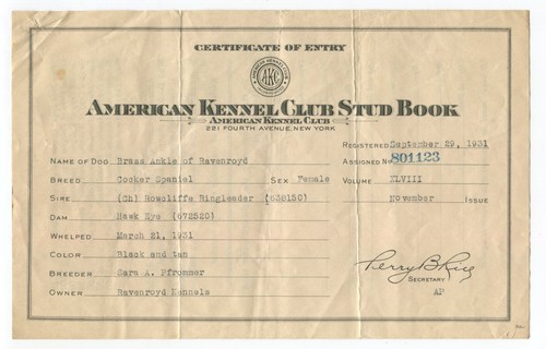 1932 american kennel - american,