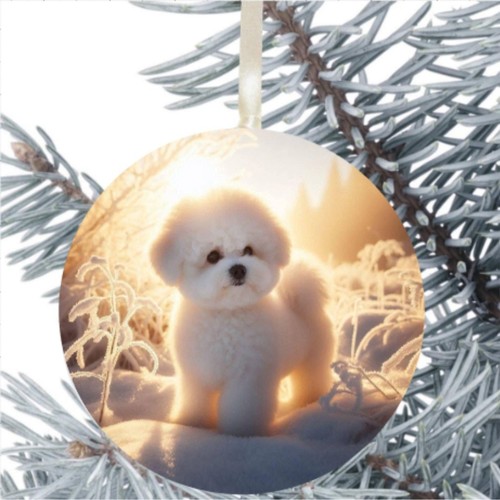 Bichon frise dog - frise, gift
