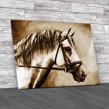 Watercolor Horse Portrait In