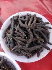 BLACK PAK SHAHTOOT /MULBERRY