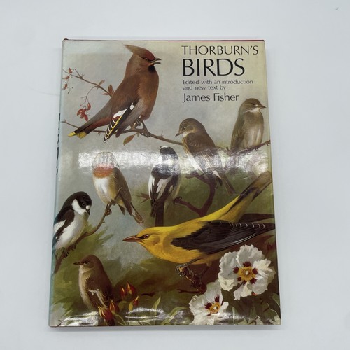Thorburn birds james - thorburn’s,