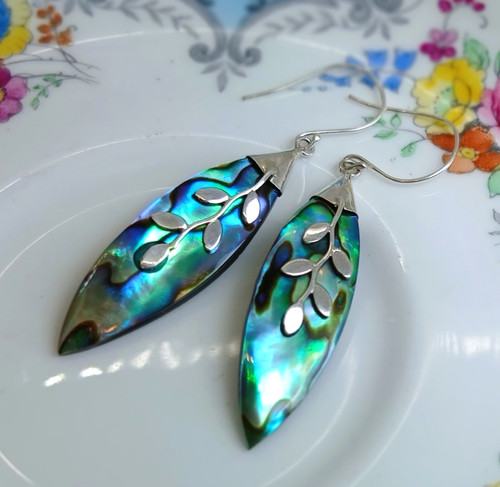 Gorgeous long abalone shell - gorgeous,