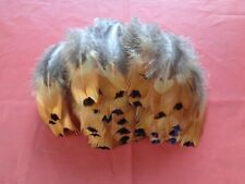 100 Paler Pheasant Flank Feathers 3" to 5" - Jewellery Crafting, Fly Tying