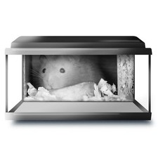 Fish tank background 90x45cm - tank,