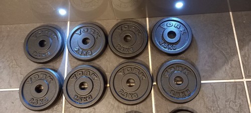 20kg york one - york, inch