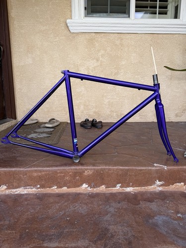 Purple torelli corsa - torelli, pista