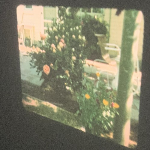 8mm home movie - home,