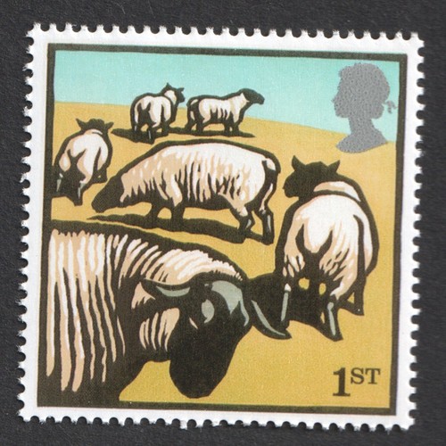2005 farm animals - 2005, suffolk