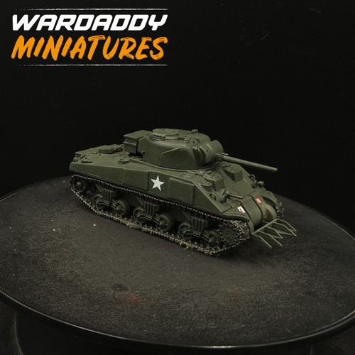 Pro painted 28mm - painted, action