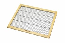 British National Queen