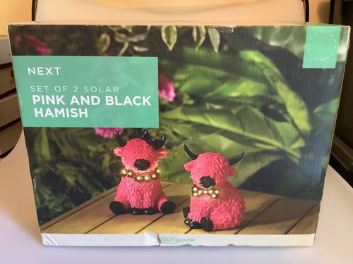 Bnib next set 2 - of, &