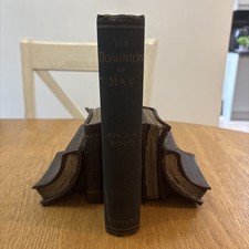 The Dominion of Man antique