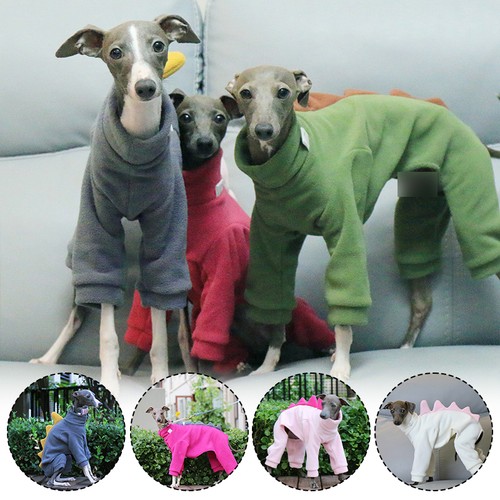 Winter polar fleece dogs - winter,