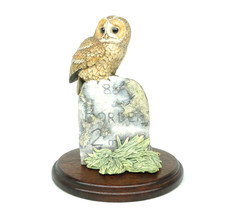 Border Fine Arts Little Owl