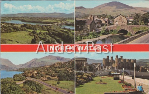 Vintage dennis postcard - vintage,